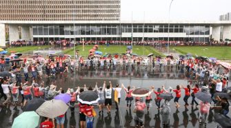Greve professores