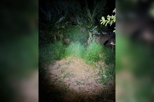 Caso Lucas: vídeo mostra aluno da UnB e amigos entrando em condomínio Caso Lucas: vídeo mostra aluno da UnB e amigos entrando em condomínio