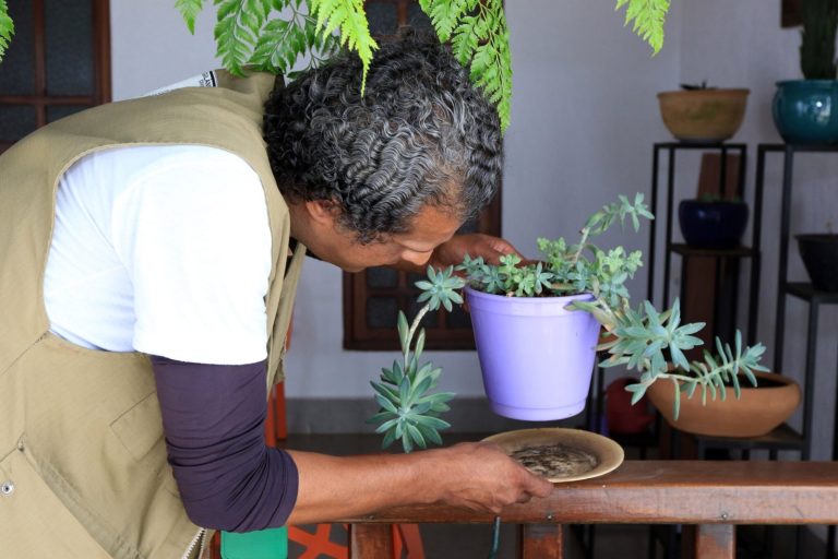 Dengue: A hora de prevenir é agora. Não espere as chuvas para agir